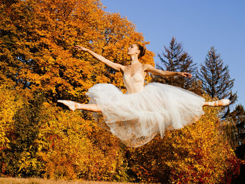 Autumn Allegro: The Aerial Dance #ArtMosaic