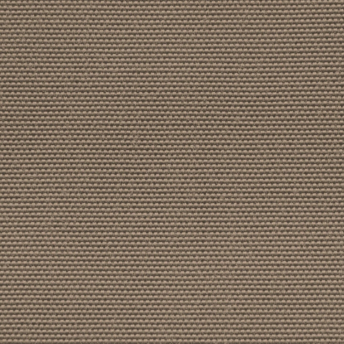 Colorant Taupe