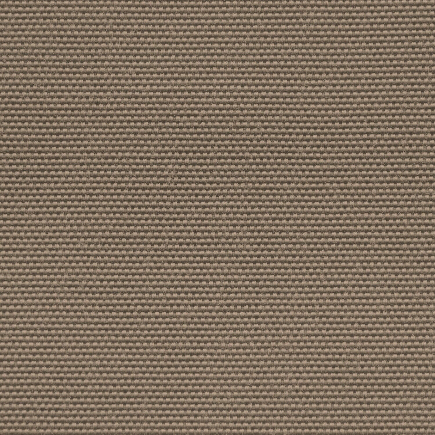 Colorant Taupe