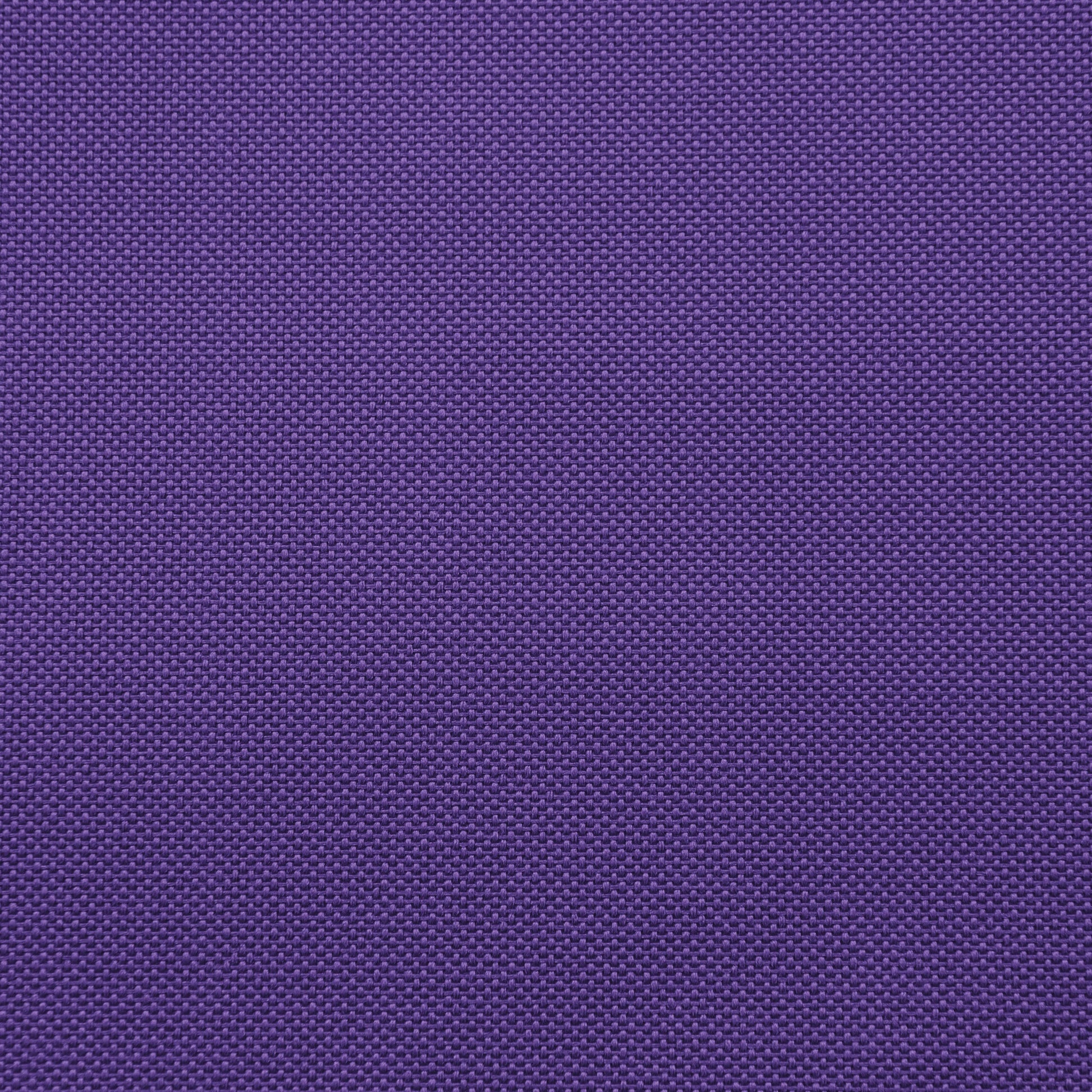 OX Purple